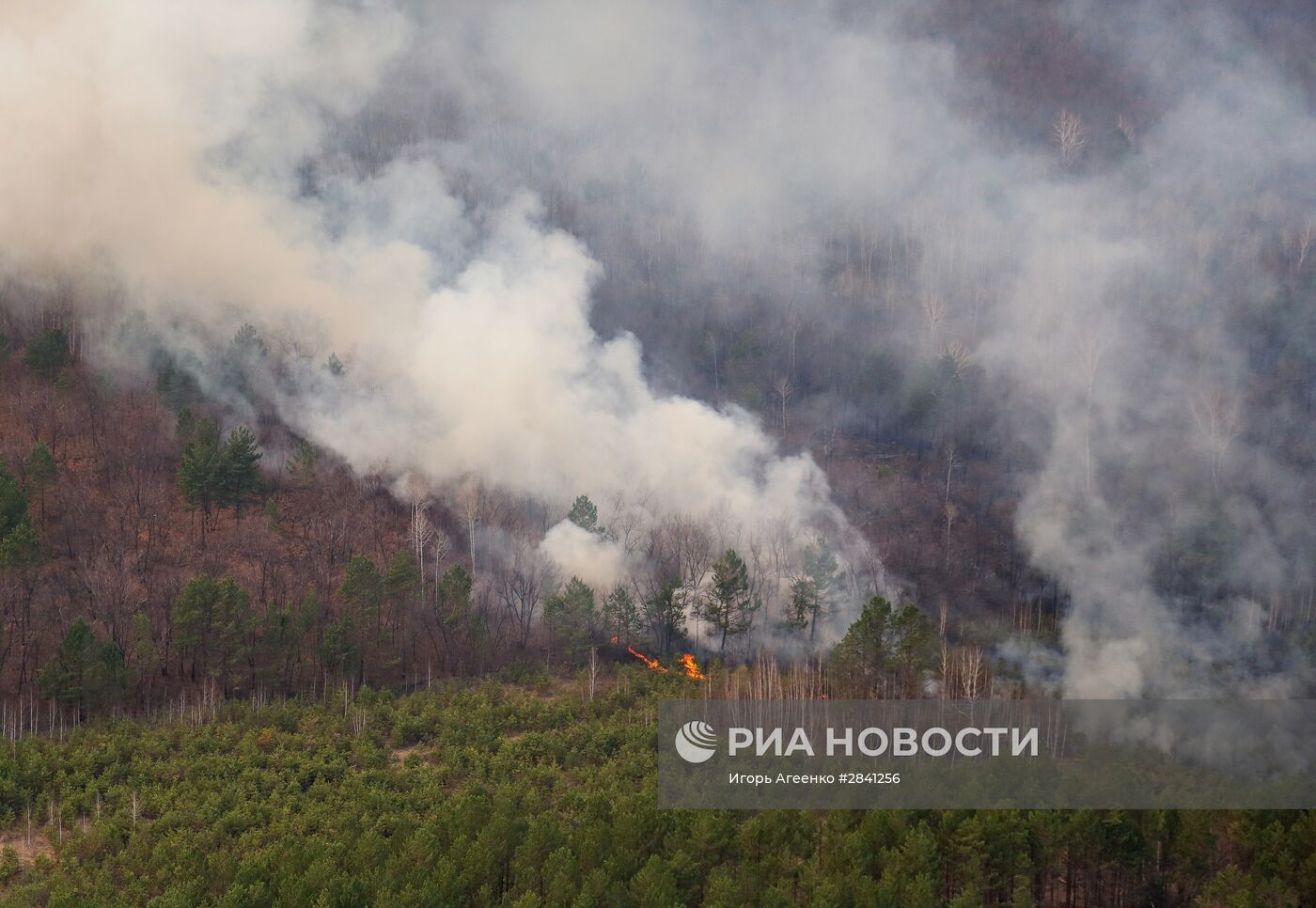 Природные пожары в Амурской области