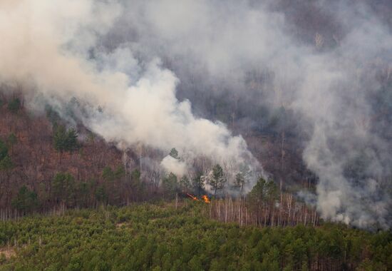 Природные пожары в Амурской области