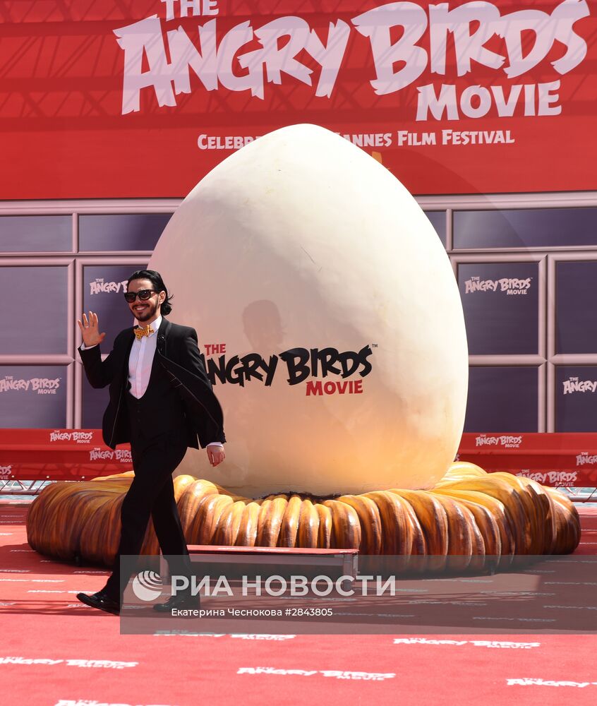 Фотоколл анимационного фильма "Angry birds"