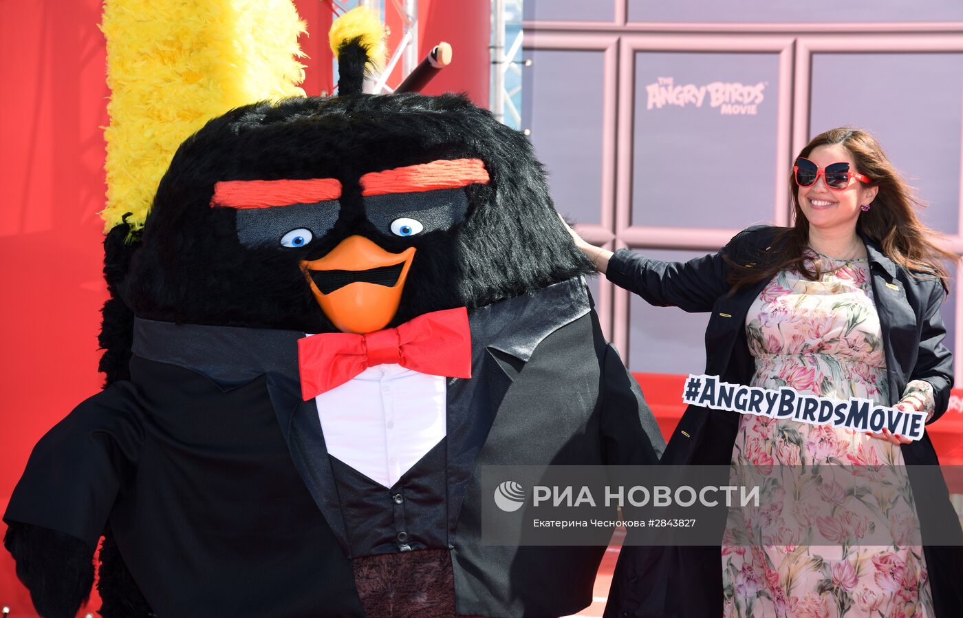 Фотоколл анимационного фильма "Angry birds"