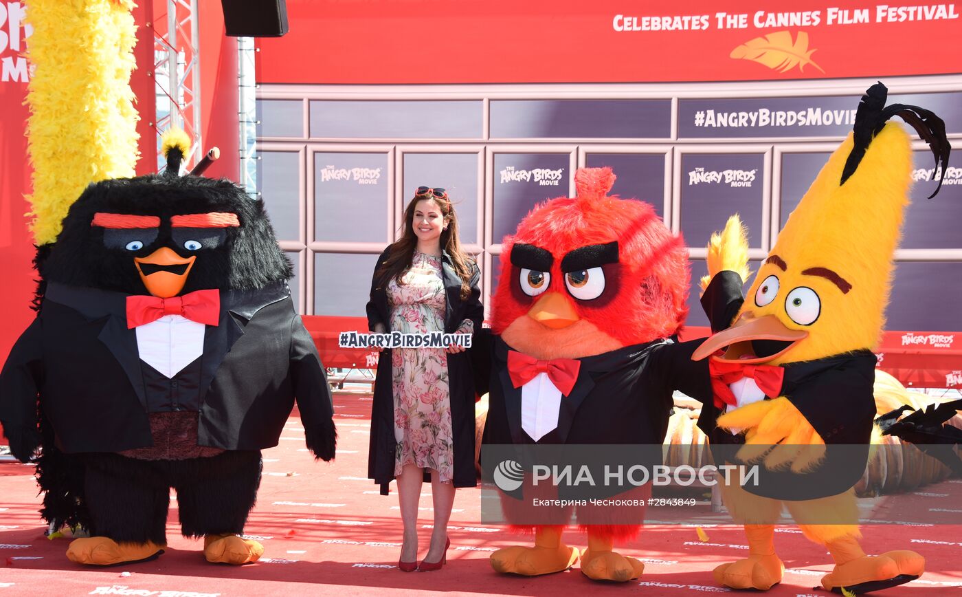 Фотоколл анимационного фильма "Angry birds"