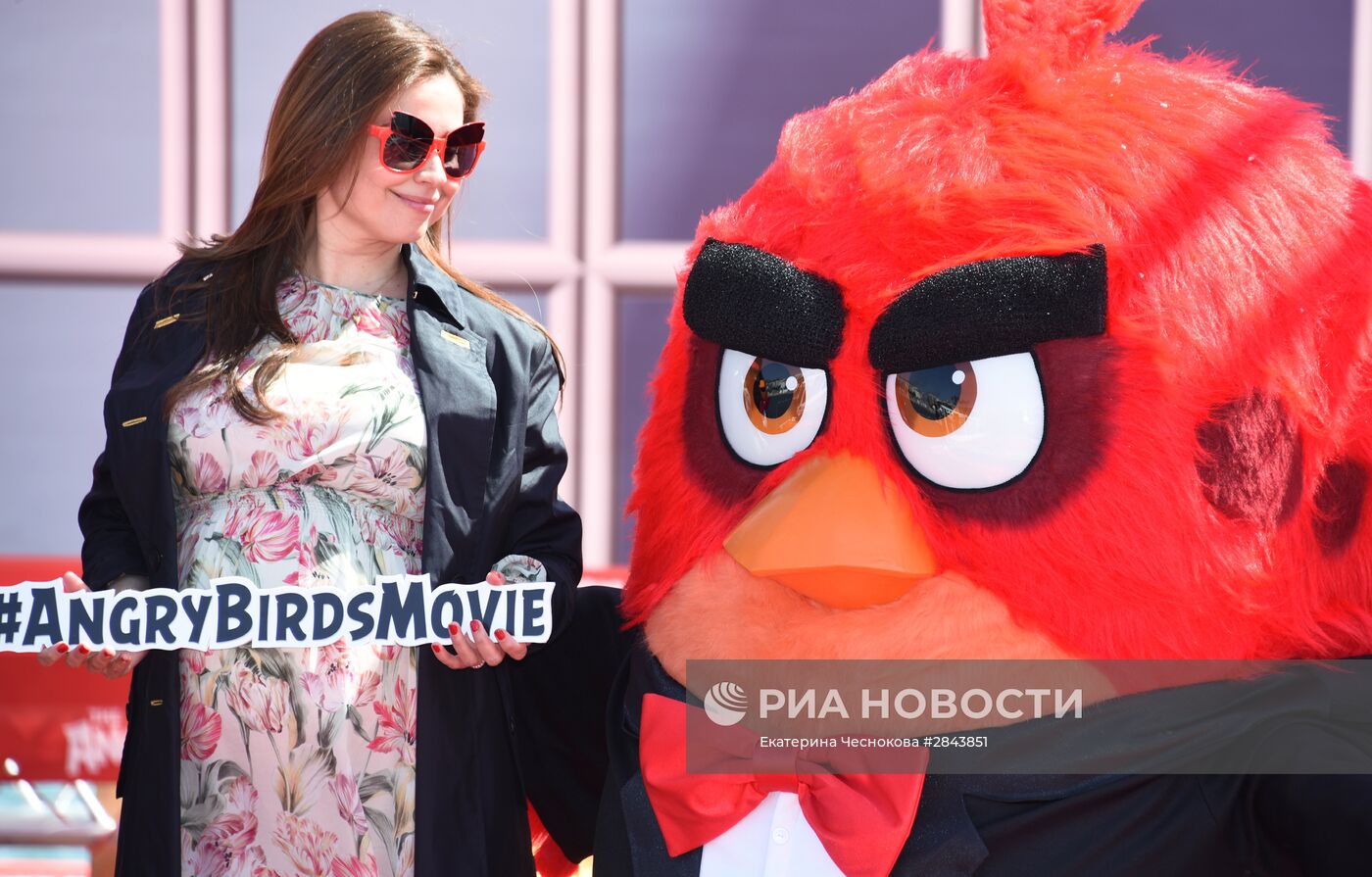 Фотоколл анимационного фильма "Angry birds"