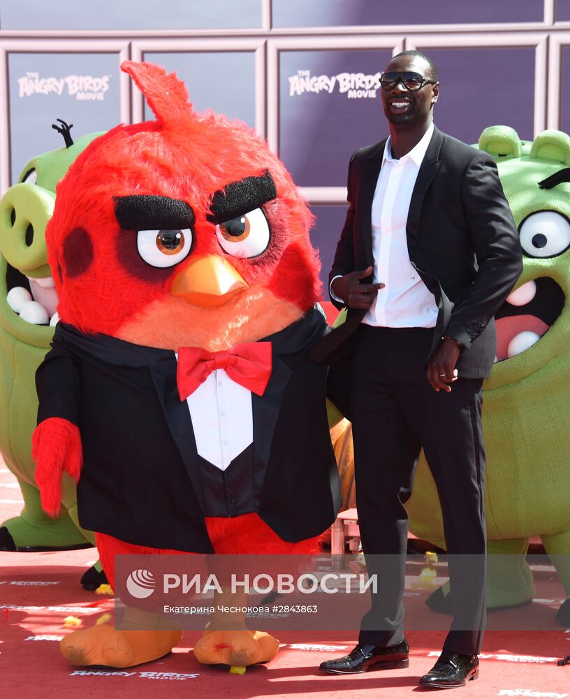 Фотоколл анимационного фильма "Angry birds"