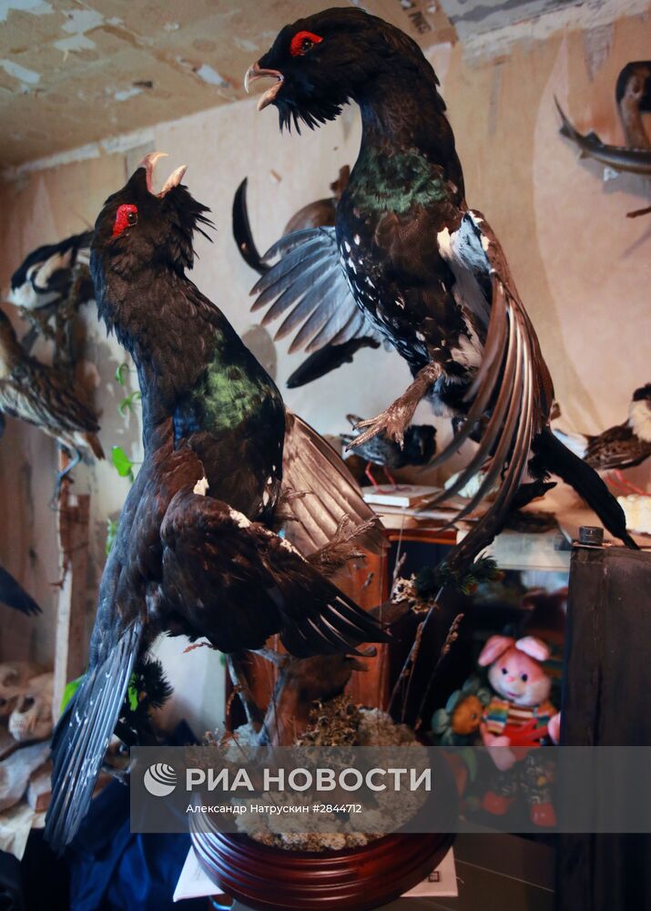 Таксидермист Сергей Суховерхов из Тверской области