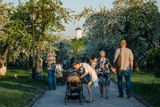 Отдых москвичей в музее-заповеднике "Коломенское"