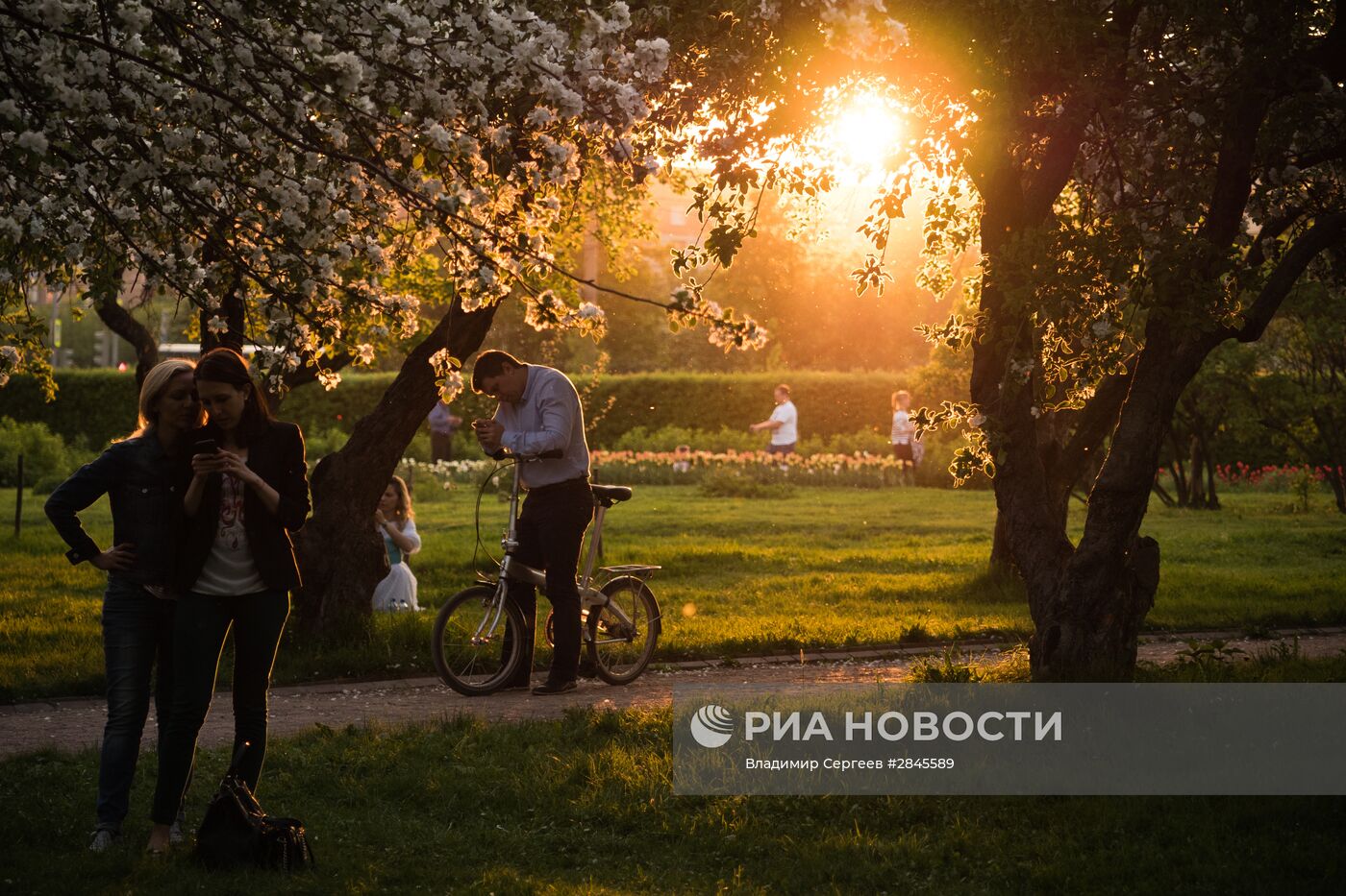 Отдых москвичей в музее-заповеднике "Коломенское"