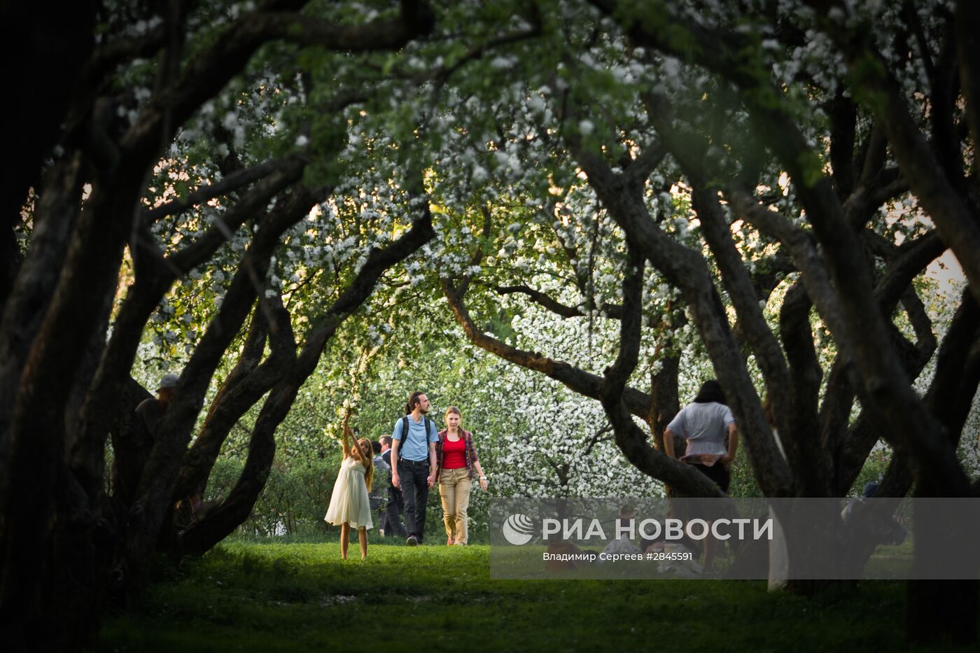 Отдых москвичей в музее-заповеднике "Коломенское"