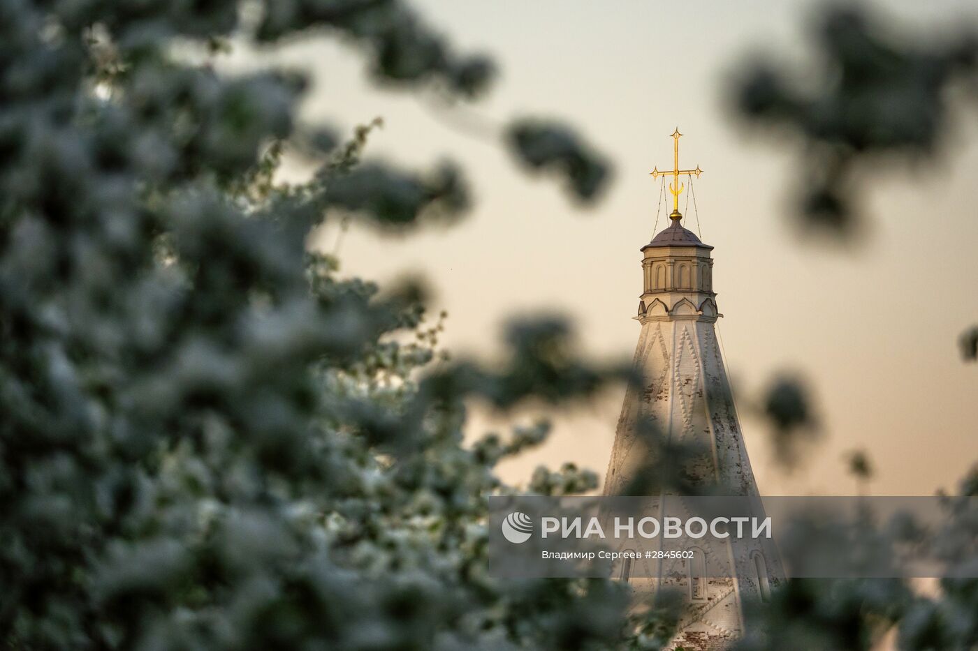 Отдых москвичей в музее-заповеднике "Коломенское"