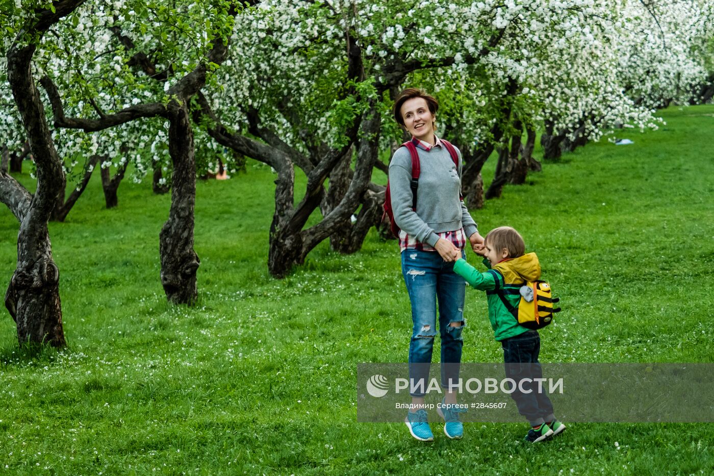 Отдых москвичей в музее-заповеднике "Коломенское"