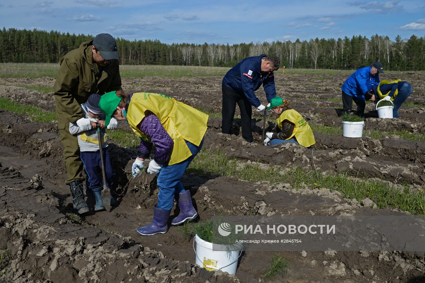 Акция "Всероссийский день посадки леса" в Новосибирской области