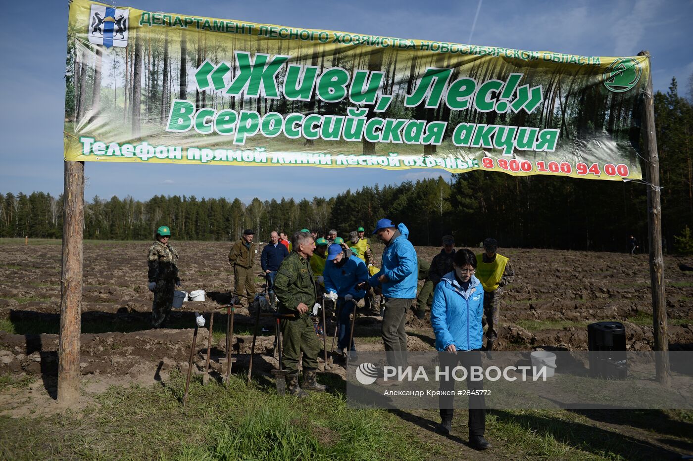 Акция "Всероссийский день посадки леса" в Новосибирской области