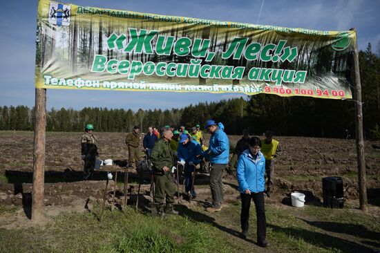 Акция "Всероссийский день посадки леса" в Новосибирской области