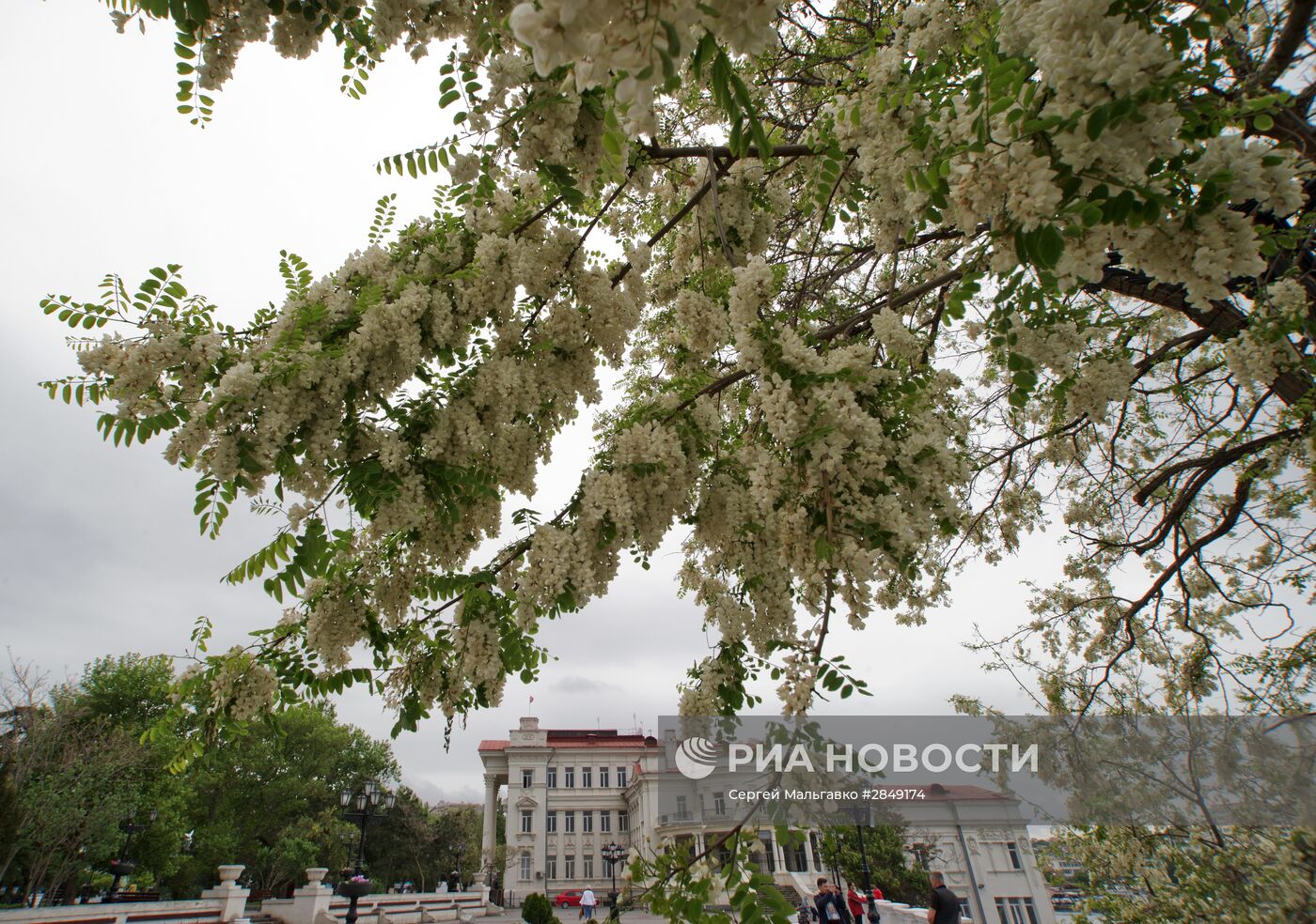 Регионы России. Крым