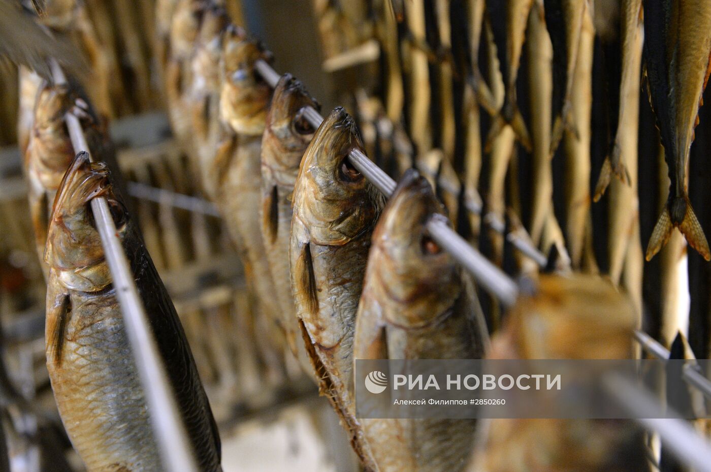 Предприятие по переработке рыбы "Русская рыбная фактория" в Москве