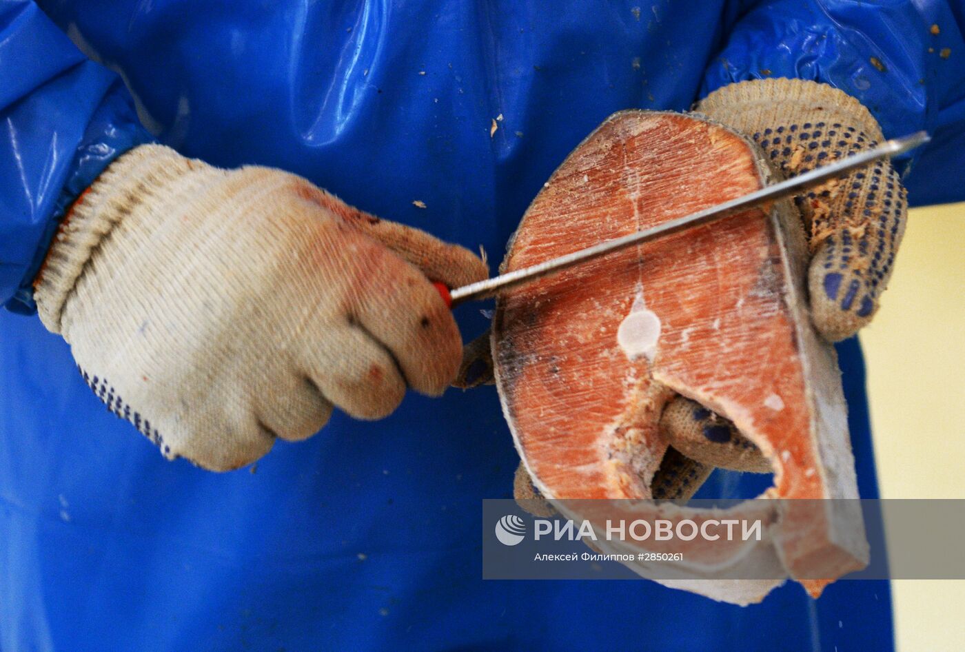 Предприятие по переработке рыбы "Русская рыбная фактория" в Москве