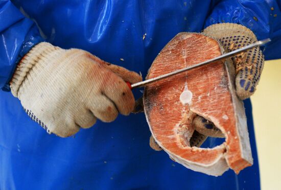 Предприятие по переработке рыбы "Русская рыбная фактория" в Москве