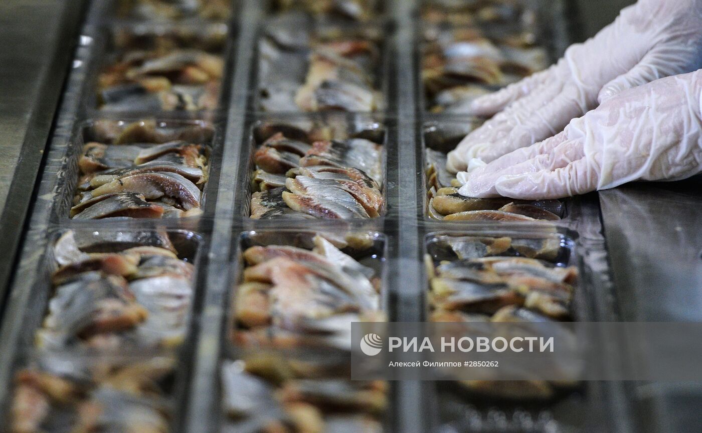 Предприятие по переработке рыбы "Русская рыбная фактория" в Москве