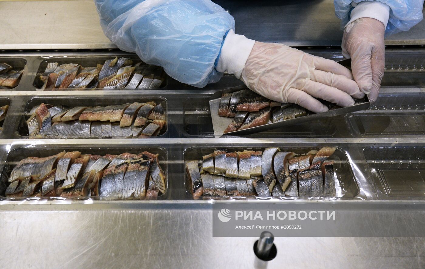 Предприятие по переработке рыбы "Русская рыбная фактория" в Москве