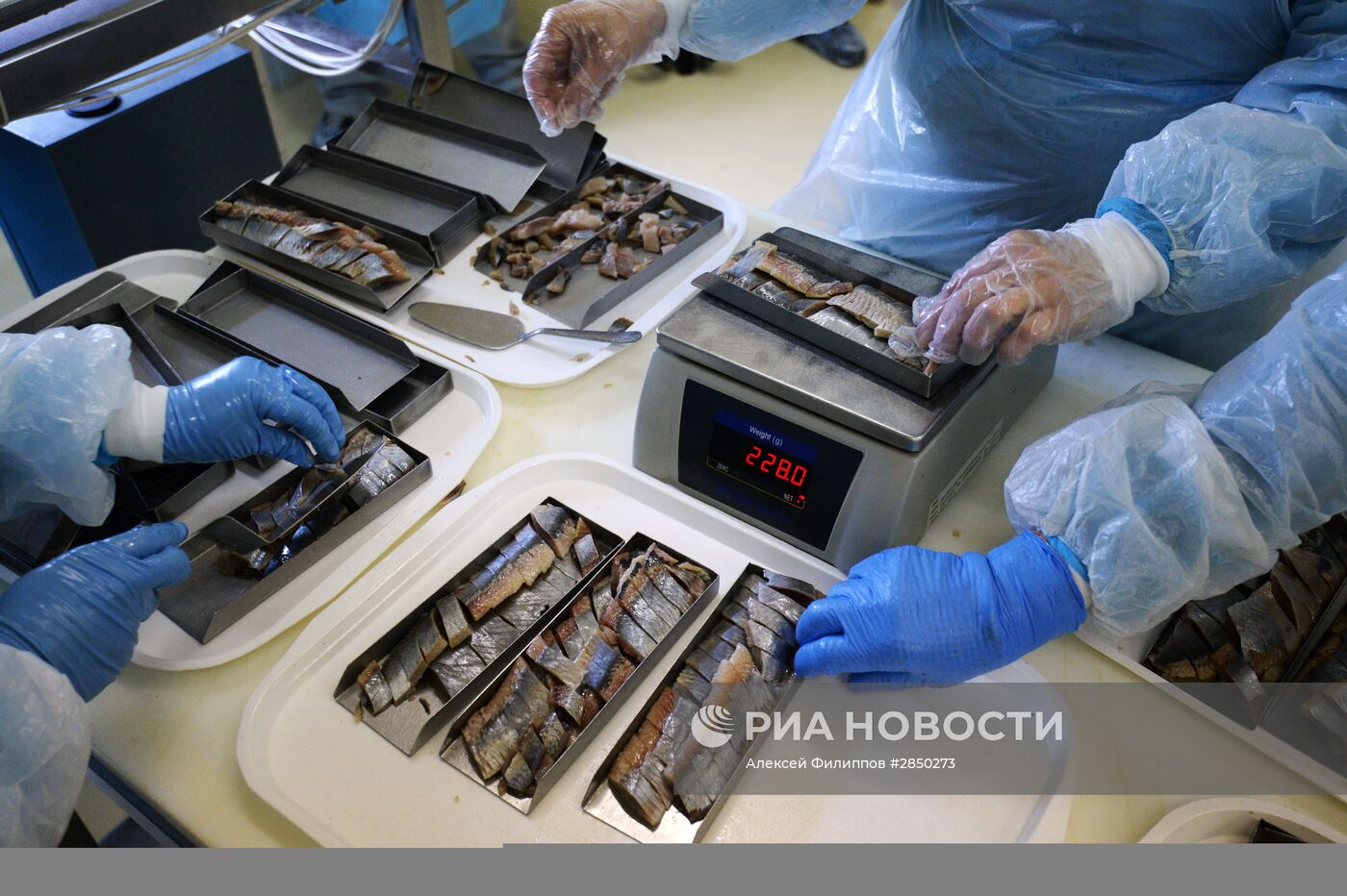 Предприятие по переработке рыбы "Русская рыбная фактория" в Москве