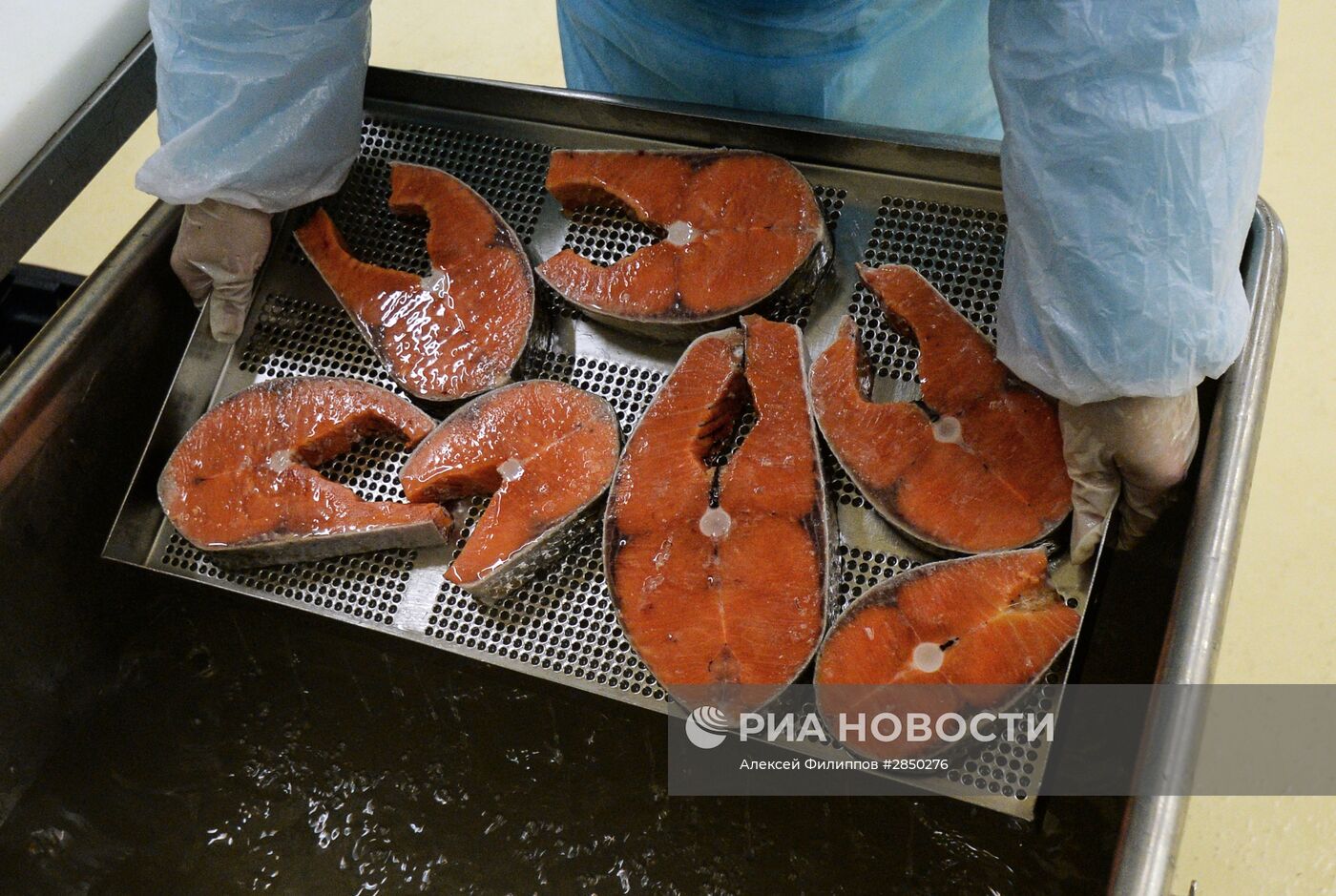 Предприятие по переработке рыбы "Русская рыбная фактория" в Москве