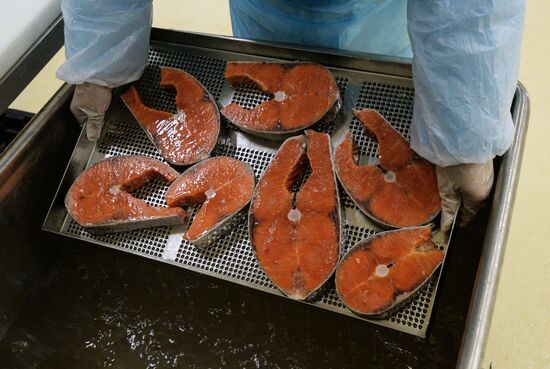 Предприятие по переработке рыбы "Русская рыбная фактория" в Москве