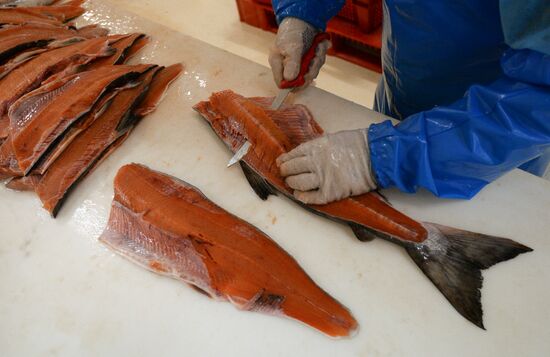 Предприятие по переработке рыбы "Русская рыбная фактория" в Москве