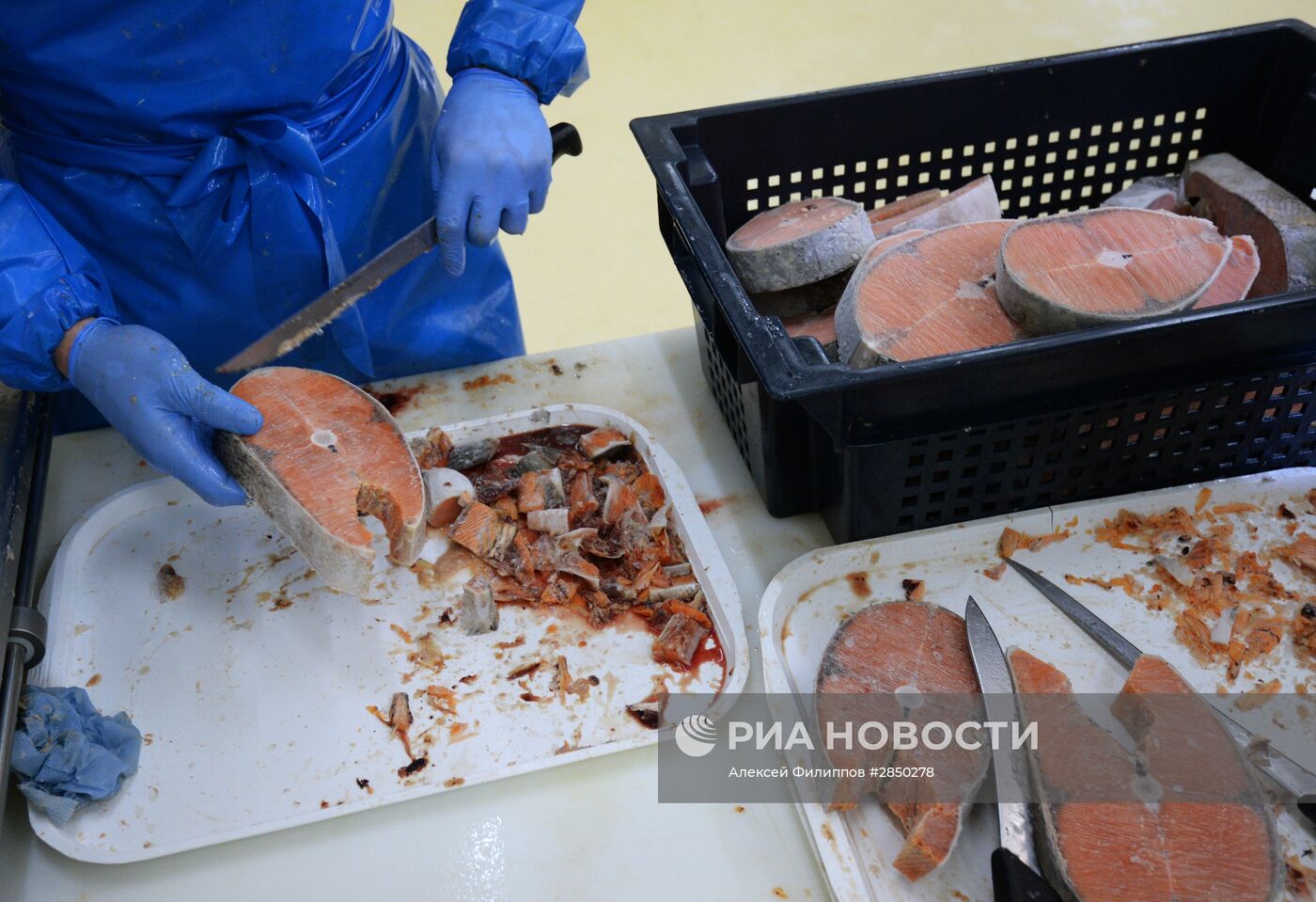 Предприятие по переработке рыбы "Русская рыбная фактория" в Москве