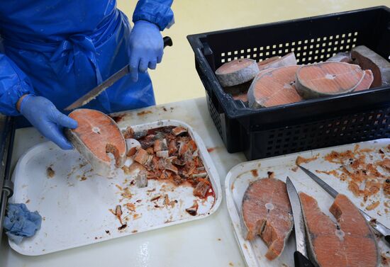 Предприятие по переработке рыбы "Русская рыбная фактория" в Москве