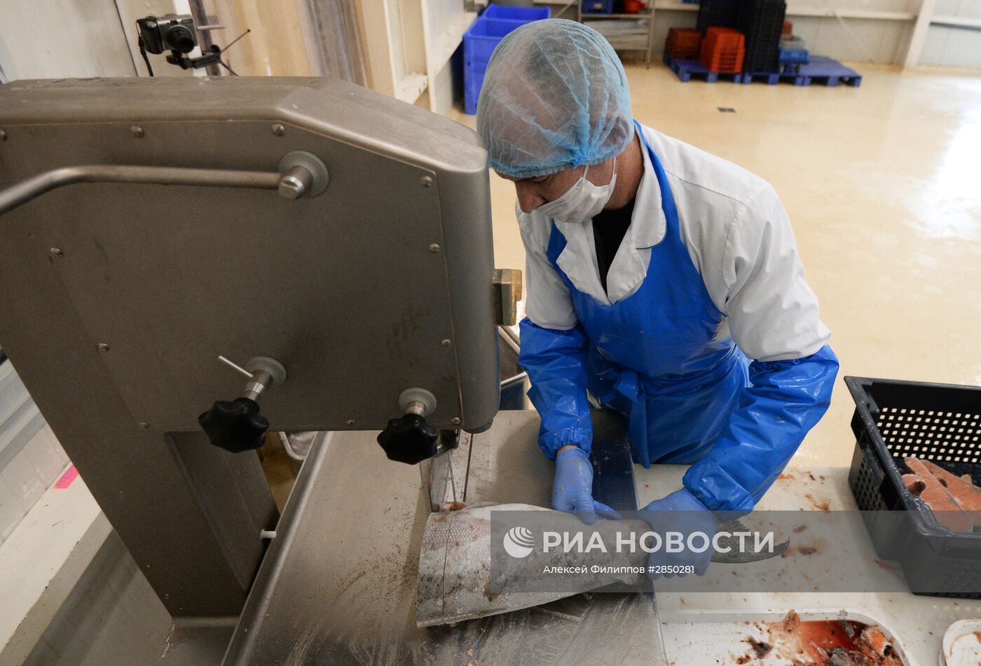 Предприятие по переработке рыбы "Русская рыбная фактория" в Москве