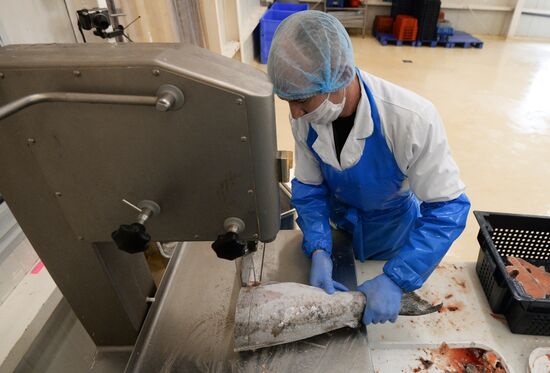 Предприятие по переработке рыбы "Русская рыбная фактория" в Москве