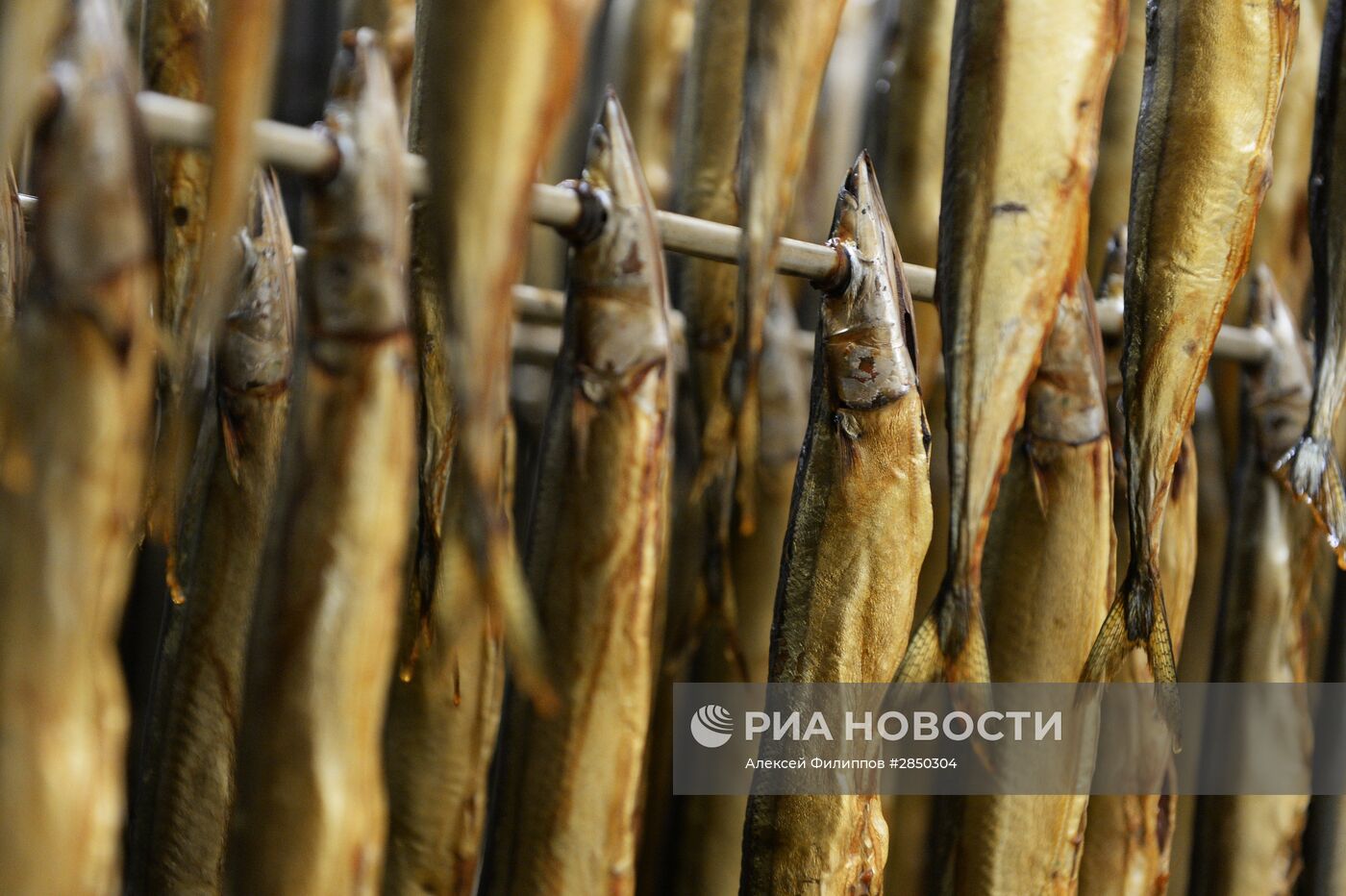 Предприятие по переработке рыбы "Русская рыбная фактория" в Москве