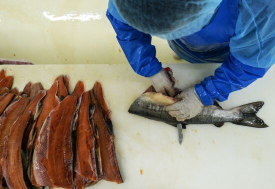 Предприятие по переработке рыбы "Русская рыбная фактория" в Москве