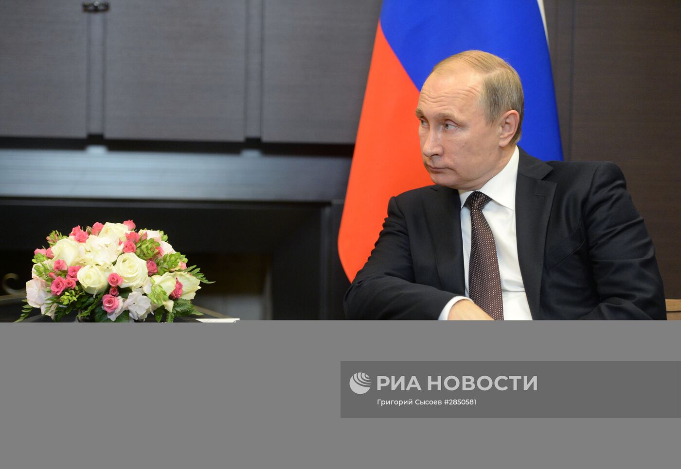 Двусторонняя встреча президента РФ В. Путина с президентом Индонезии Джоко Видодо