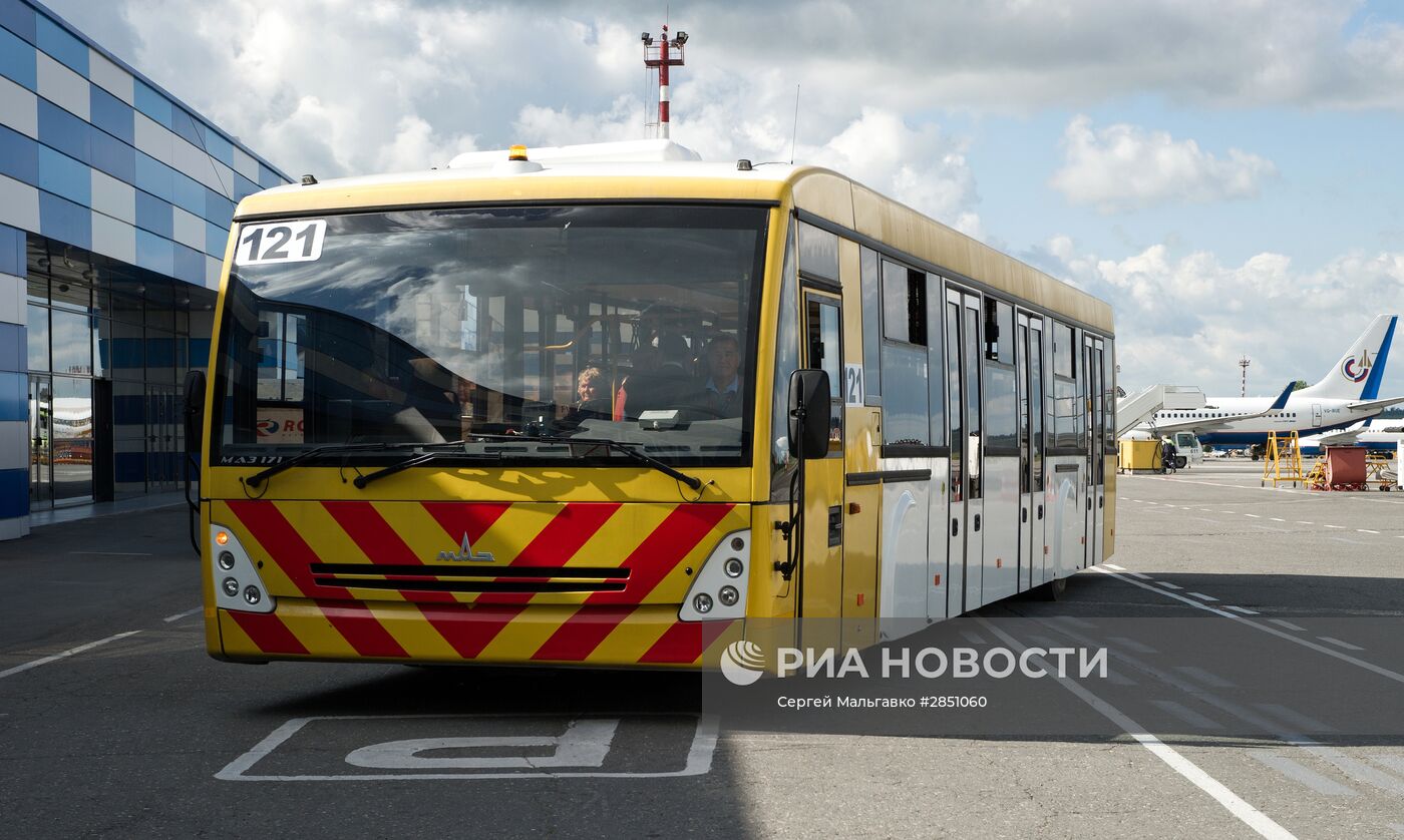 Международный аэропорт "Симферополь"