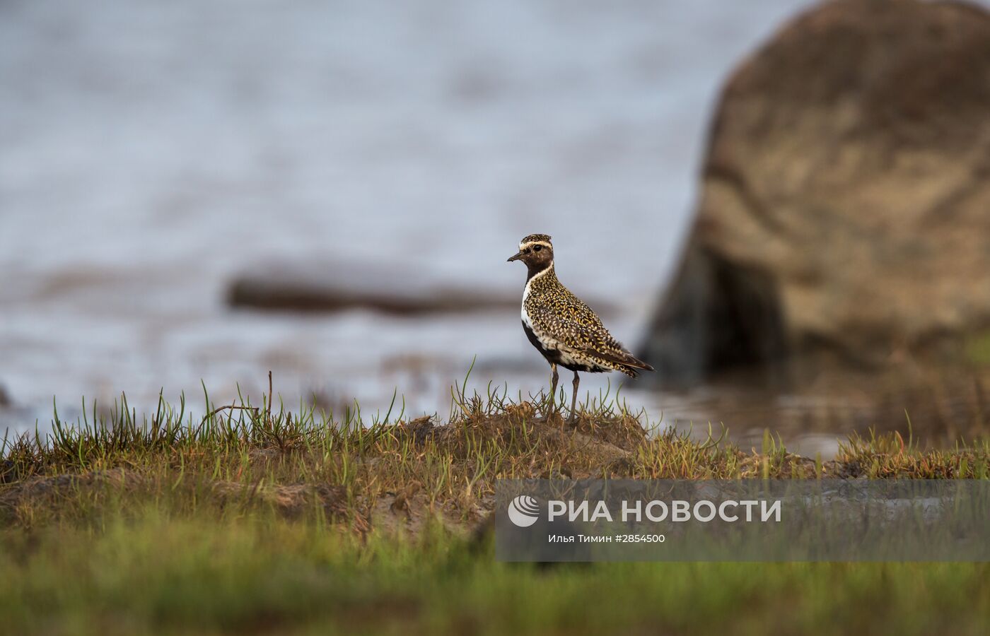 Республика Карелия. Белое море