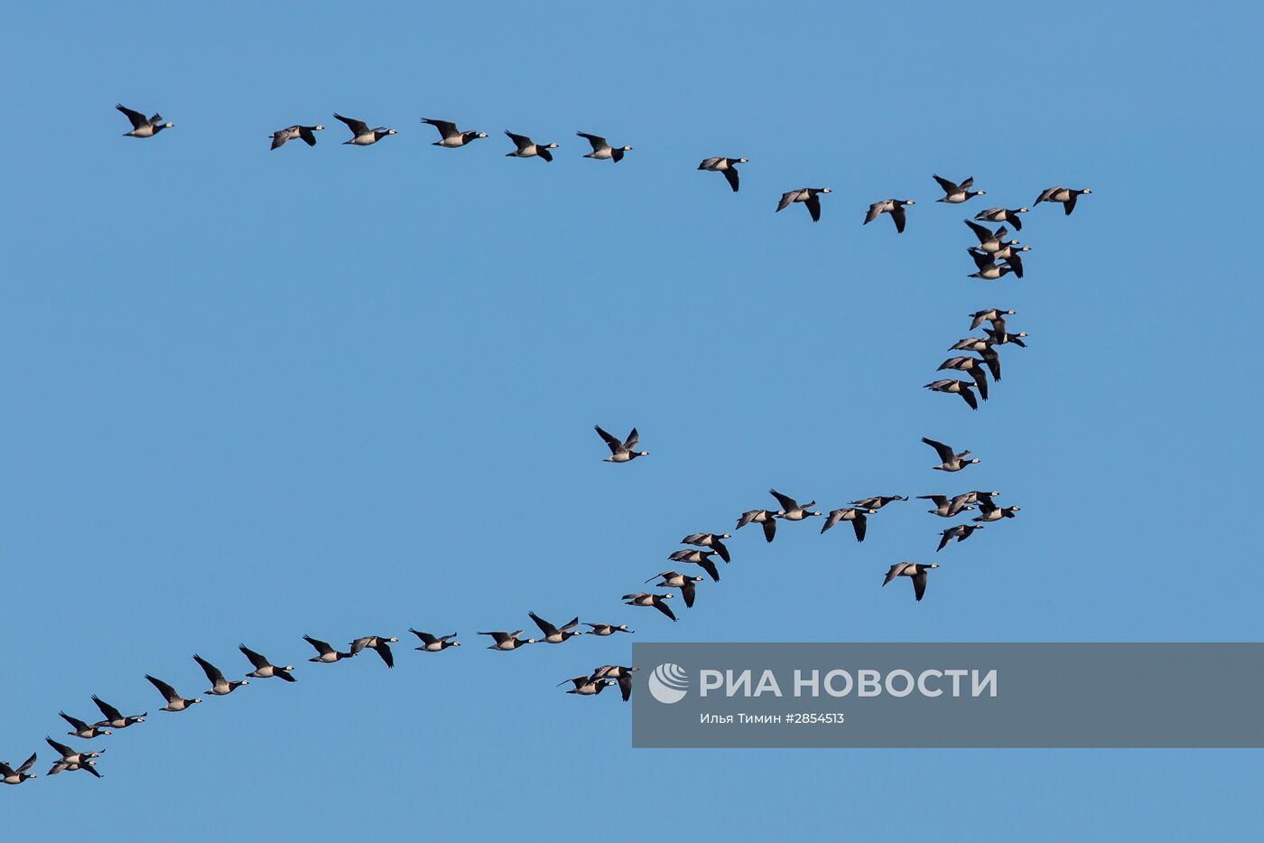 Республика Карелия. Белое море