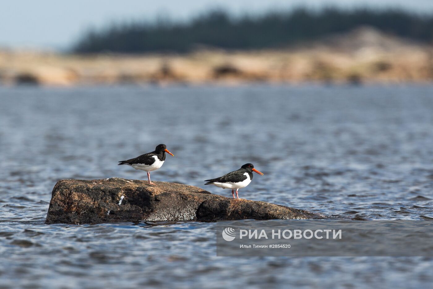 Республика Карелия. Белое море