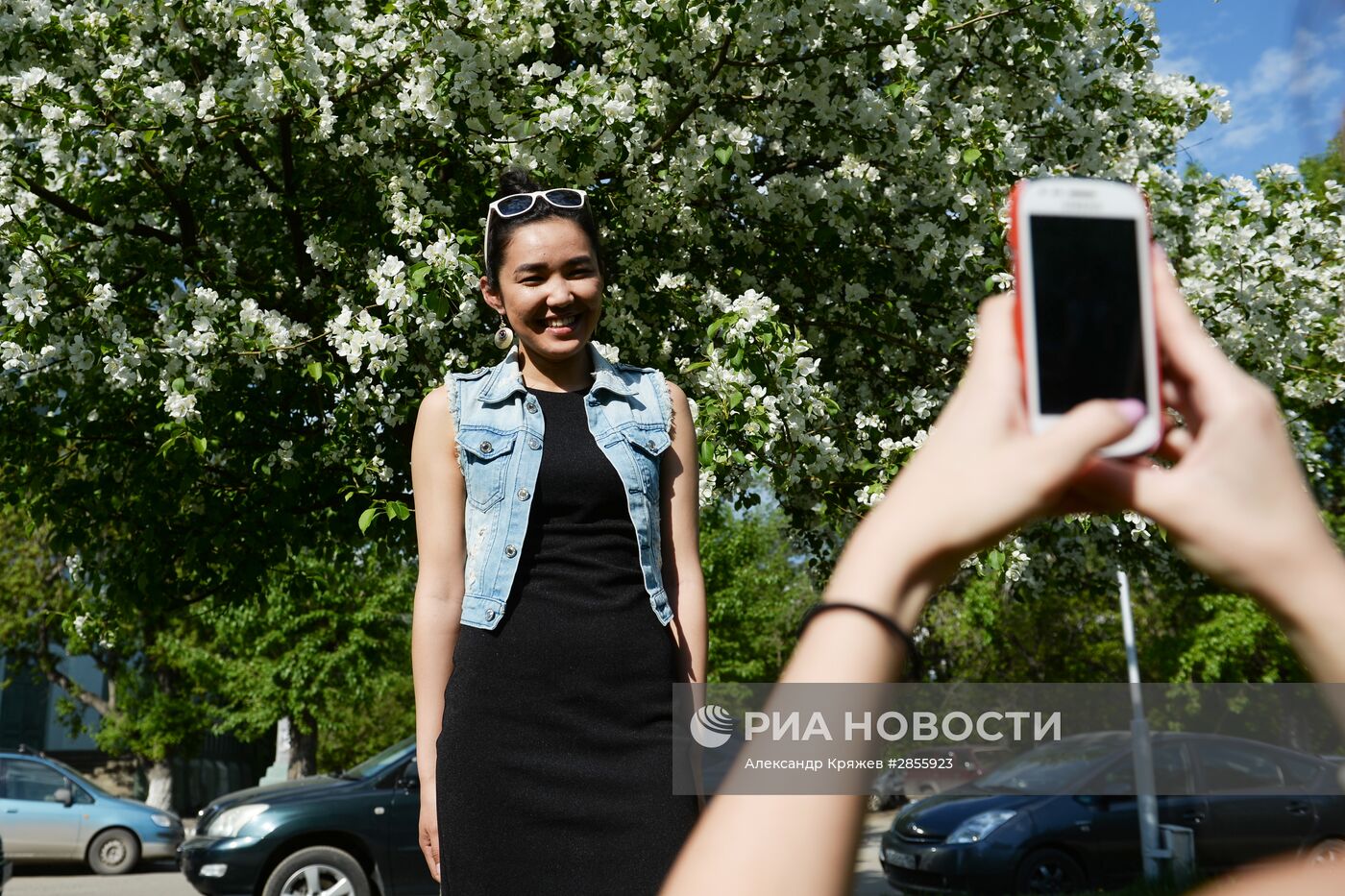 Цветение деревьев в Новосибирске