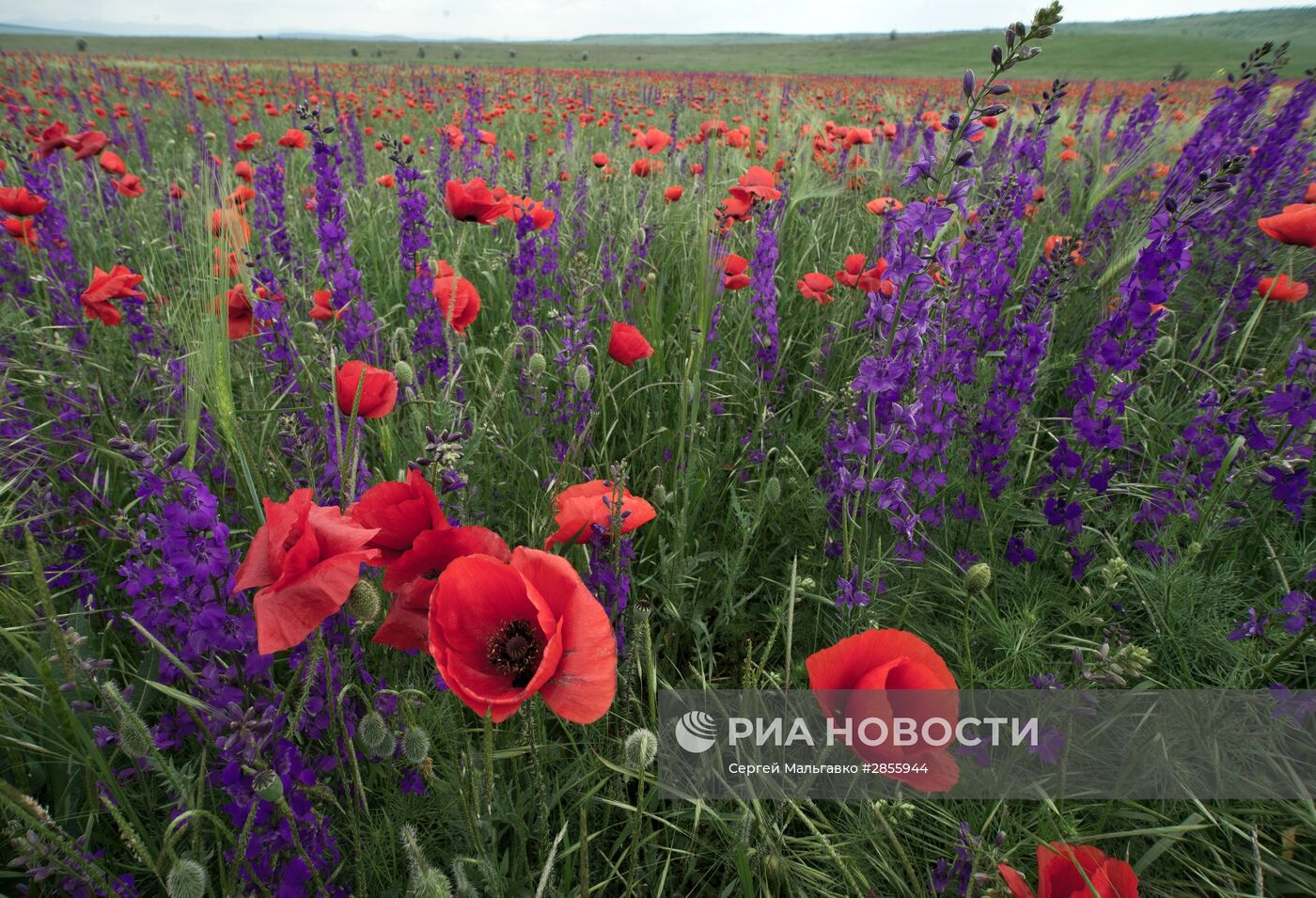 Повседневная жизнь