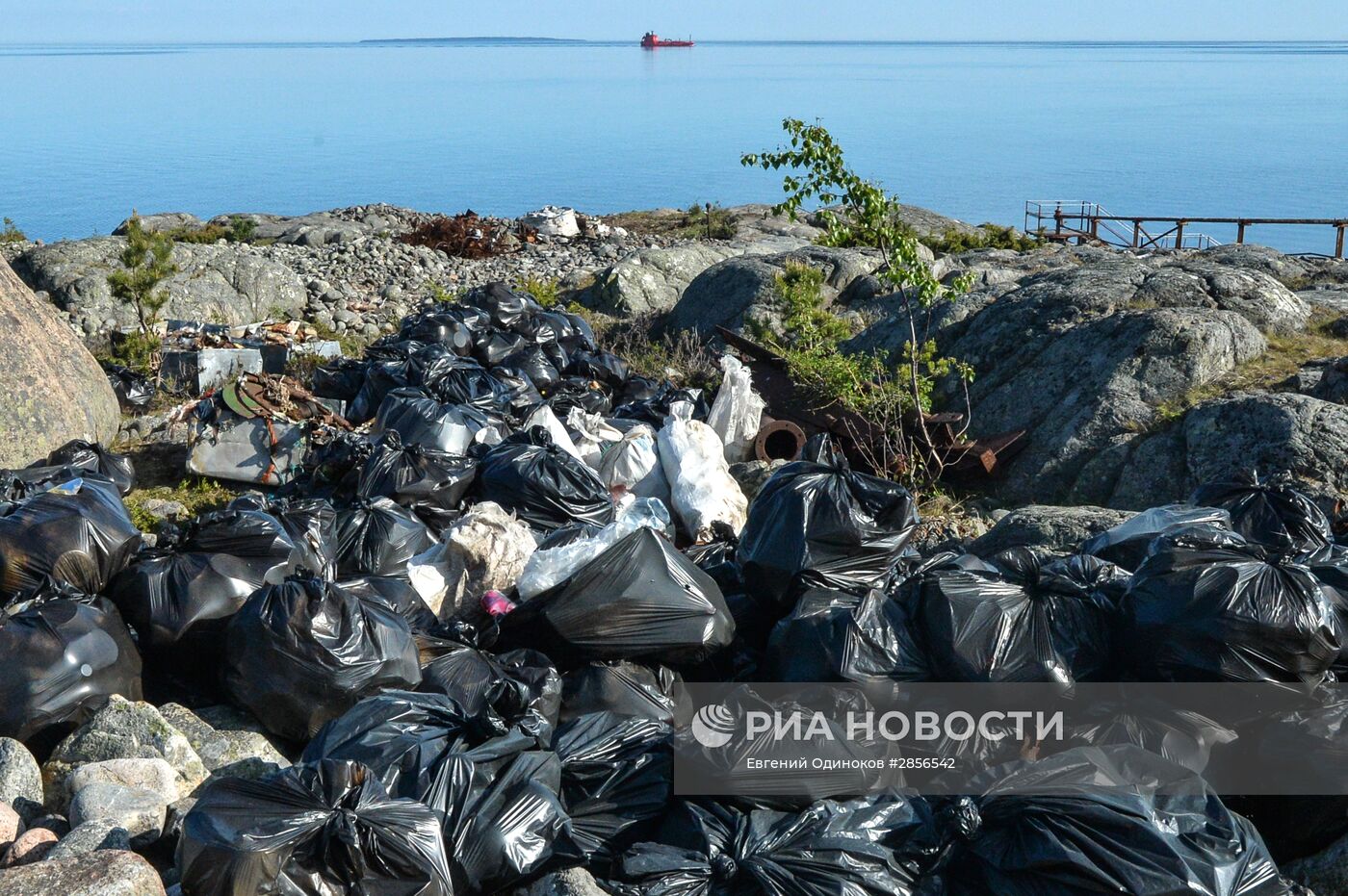 Комплексная экспедиция РГО "Гогланд"