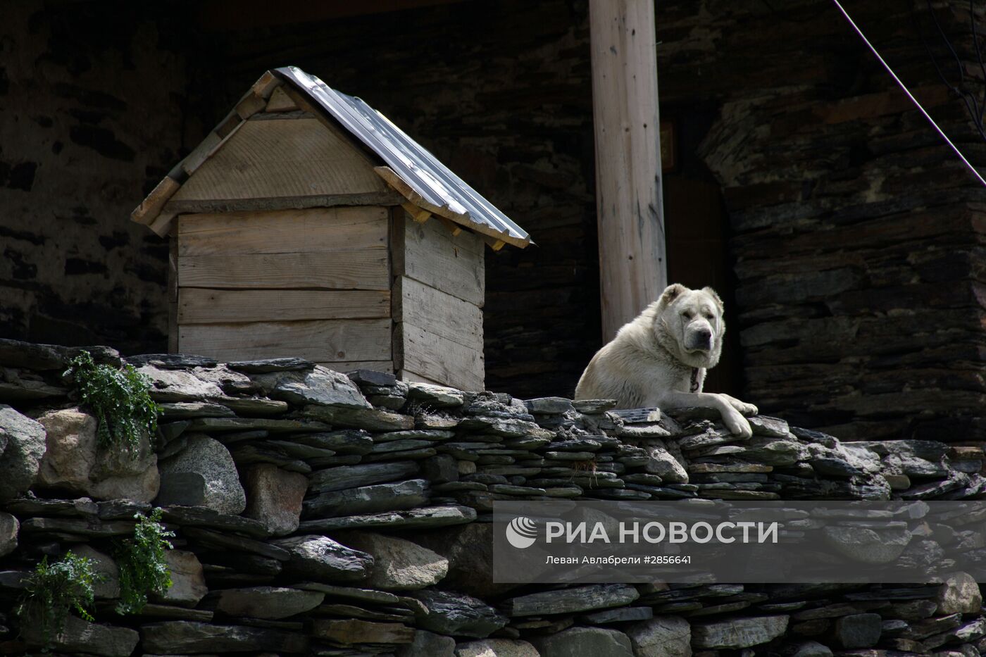 Страны мира. Грузия