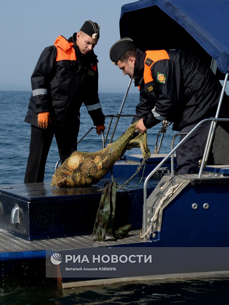 Рейд морских пограничников по проверке прибрежного лова в Приморском крае