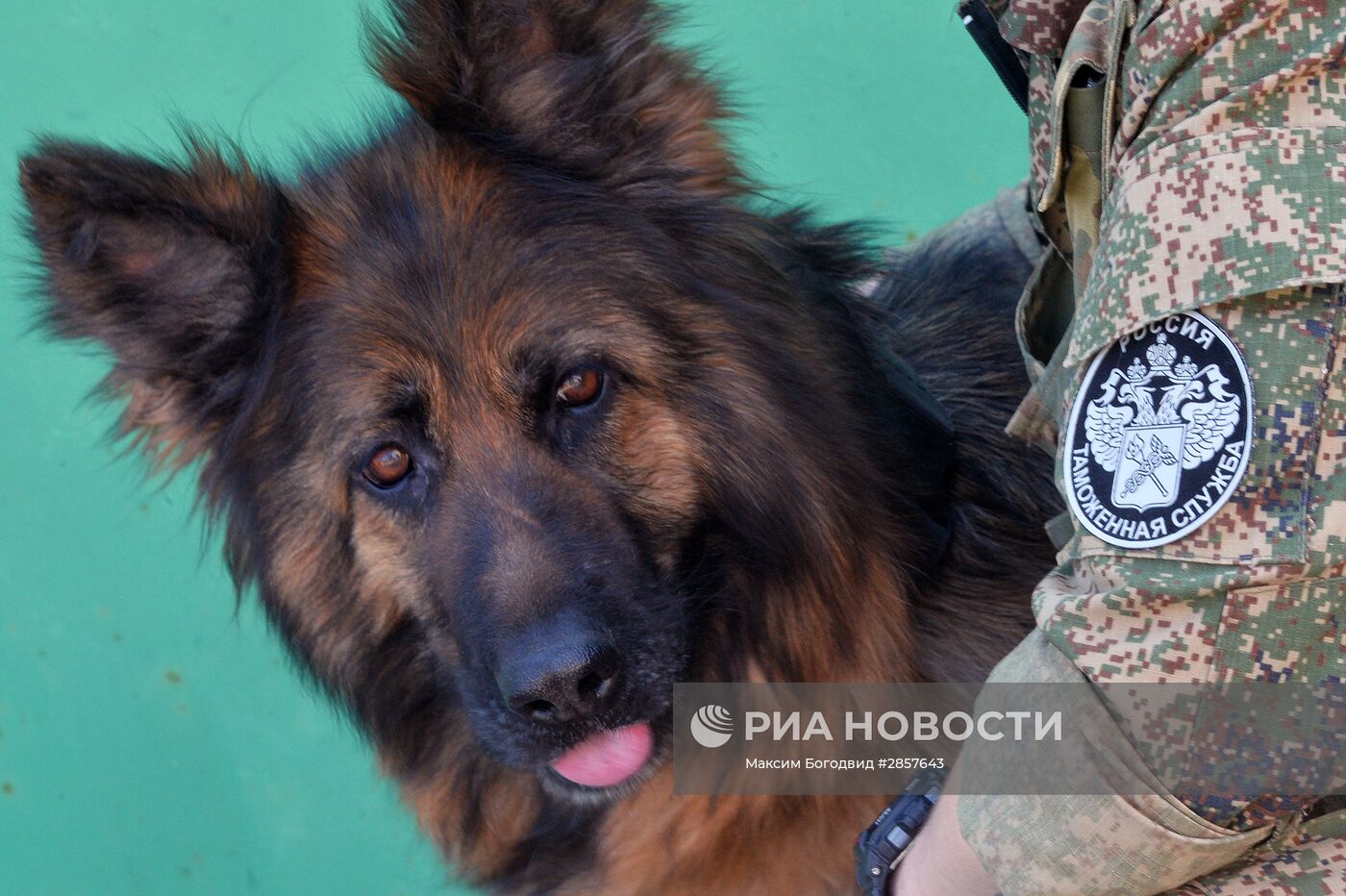 Кинологическая служба таможни Татарстана