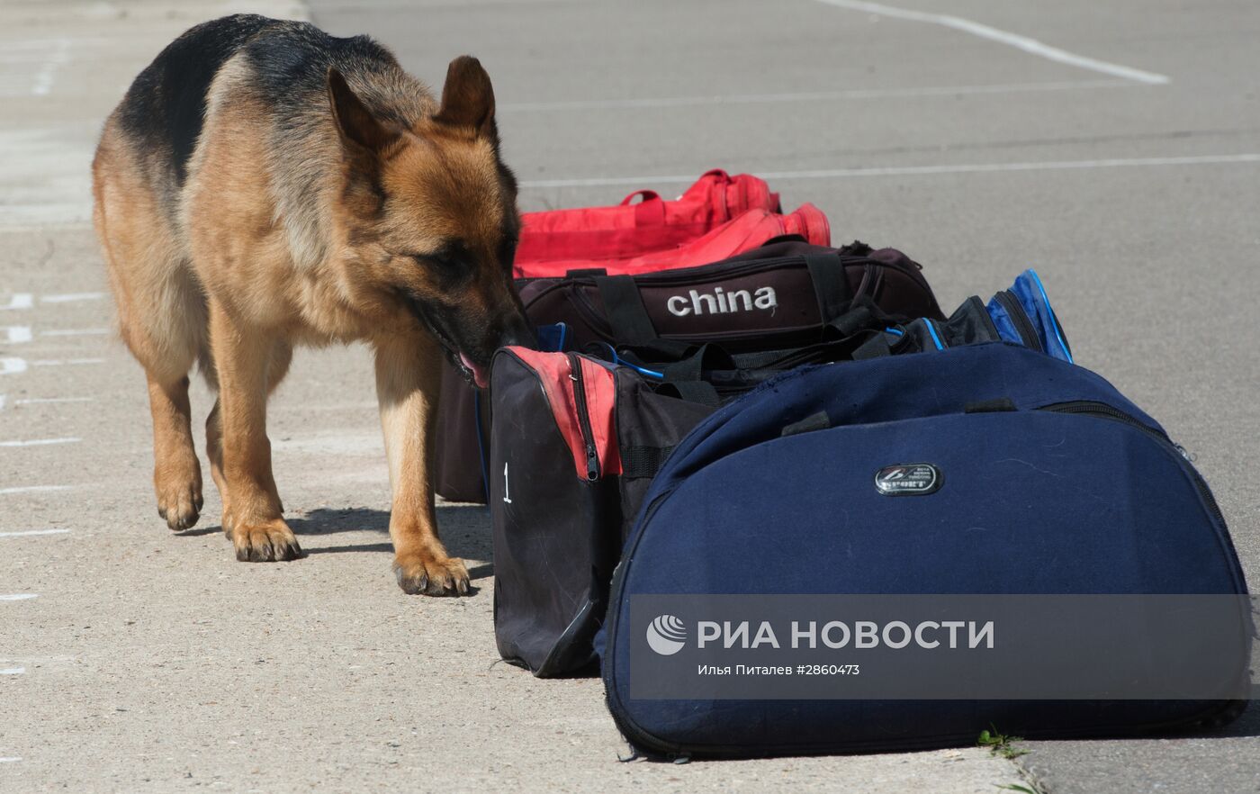 Вяземский кинологический центр погранслужбы ФСБ РФ