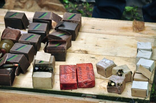 В ЛНР обнаружили около пяти тысяч боеприпасов в заброшенном доме