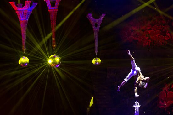 Шоу "Цирк воды, огня и света" в Санкт-Петербурге