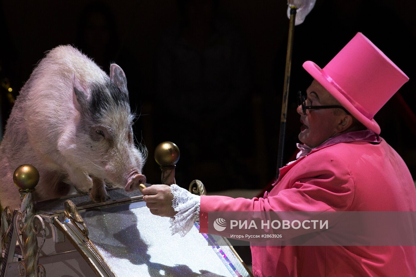Шоу "Цирк воды, огня и света" в Санкт-Петербурге
