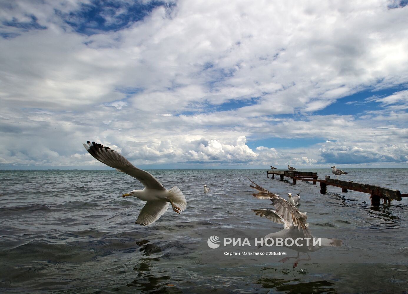 Регионы России. Крым