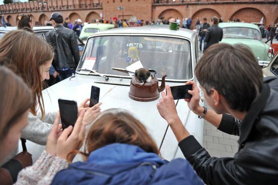 Международный фестиваль "Автострада-2016" в Туле