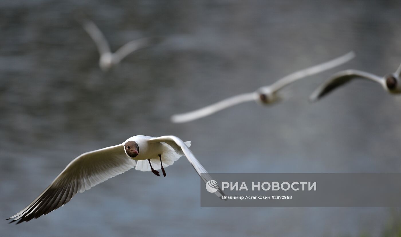 Повседневная жизнь